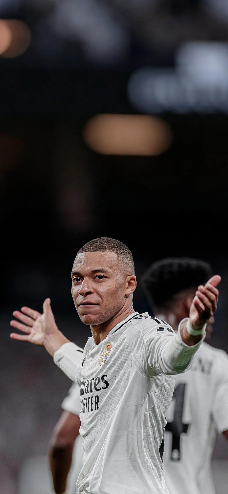 官方：悉尼FC中场恩斯特勒股四头肌受伤，预计缺席6周