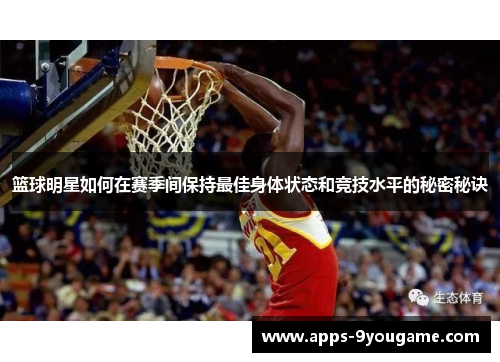 篮球明星如何在赛季间保持最佳身体状态和竞技水平的秘密秘诀