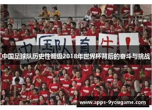 中国足球队历史性晋级2018年世界杯背后的奋斗与挑战