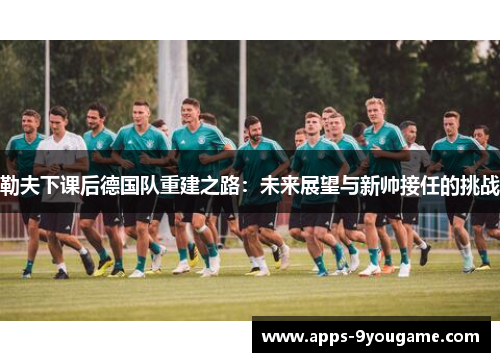 勒夫下课后德国队重建之路：未来展望与新帅接任的挑战