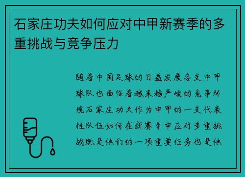 石家庄功夫如何应对中甲新赛季的多重挑战与竞争压力